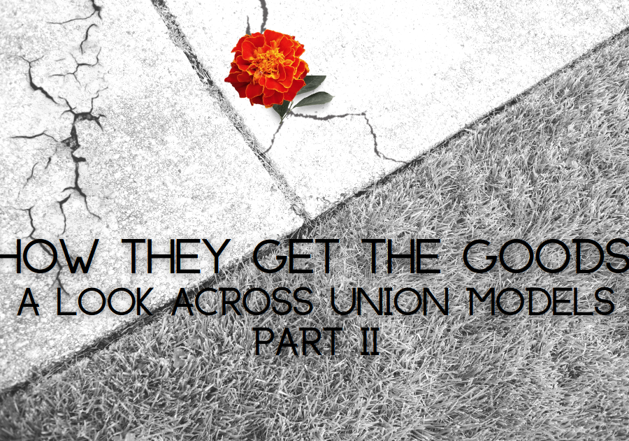 Black-and-white photo of a red flower bursting from the cracks of the pavement. Text over the image says "How they get the goods: a look across union models, part II."