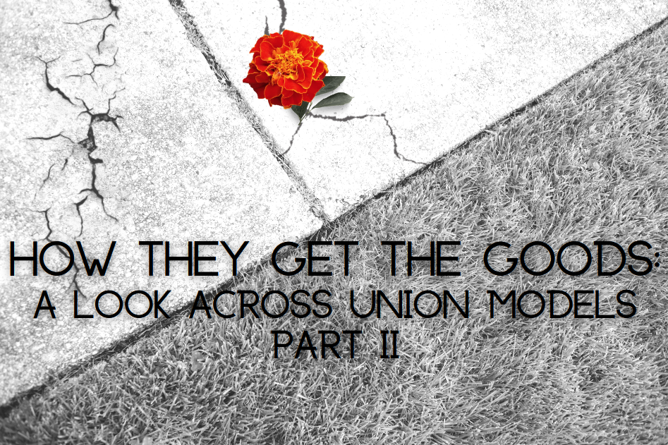 Black-and-white photo of a red flower bursting from the cracks of the pavement. Text over the image says "How they get the goods: a look across union models, part II."