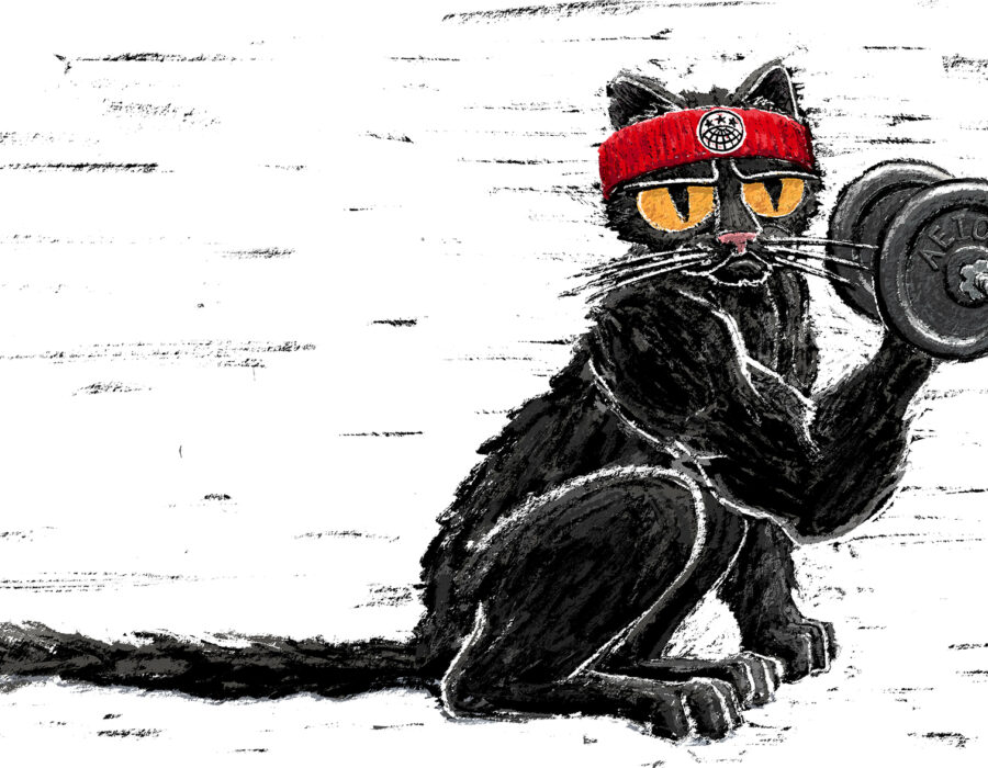 A black cat wearing a sweatband with the IWW globe logo lifts weights.