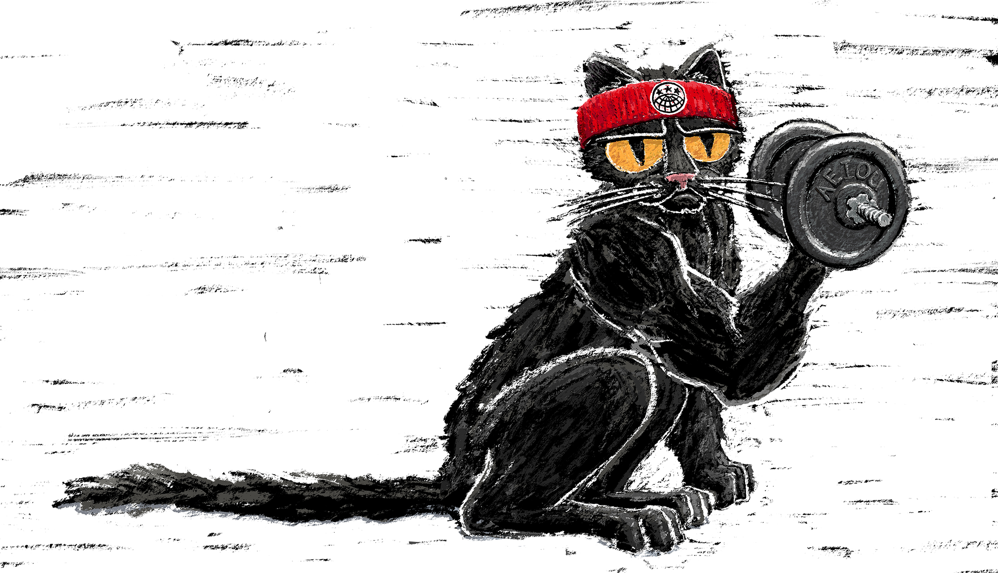 A black cat wearing a sweatband with the IWW globe logo lifts weights.
