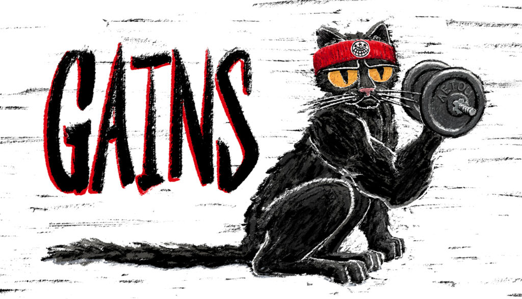 A black cat wearing a sweatband with the IWW globe logo lifts weights.