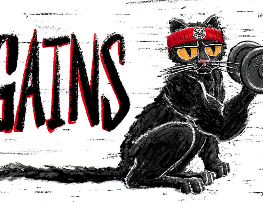 A black cat wearing a sweatband with the IWW globe logo lifts weights.